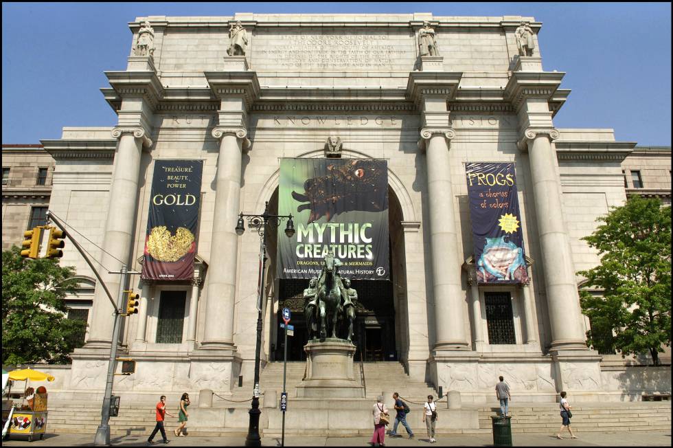 El Museo de Historia Natural de Nueva York quiere reabrir el 9 de septiembre