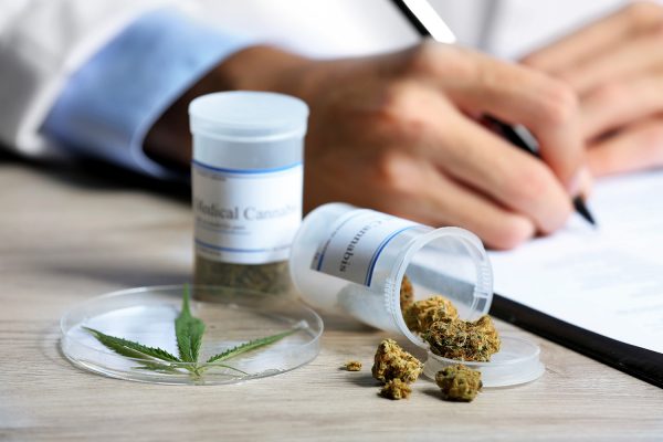 La ONU relaciona la legalización del cannabis con un aumento del consumo