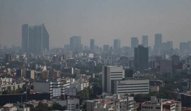 Contaminación ambiental agudiza hasta 20% síntomas de la rinitis alérgica