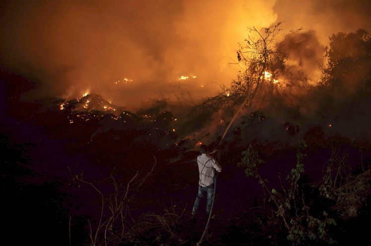 Incendios en el Pantanal brasileño obligan a accionar el estado de calamidad