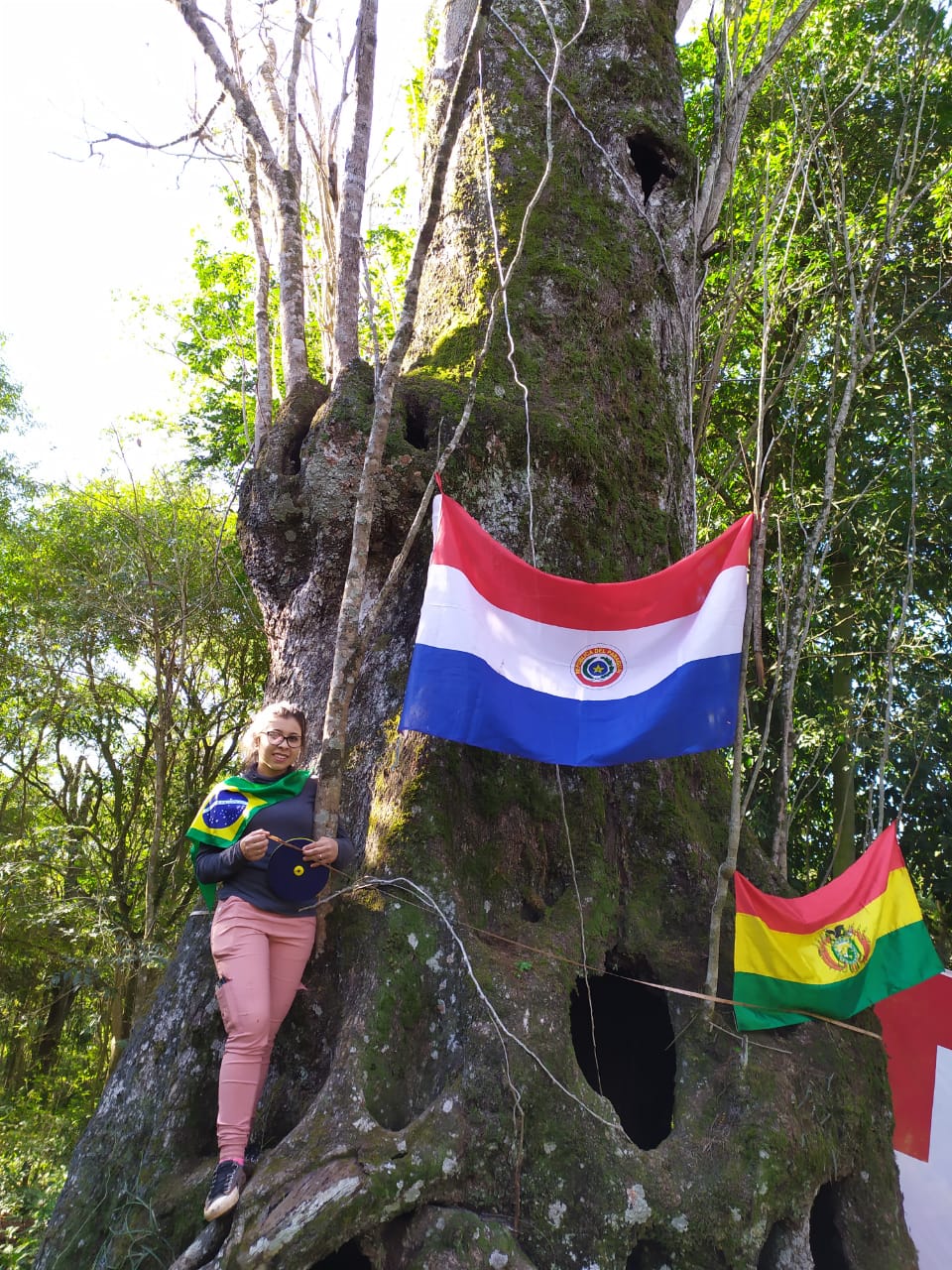 «Colosos de la Tierra» marca récord con 597 árboles inscriptos