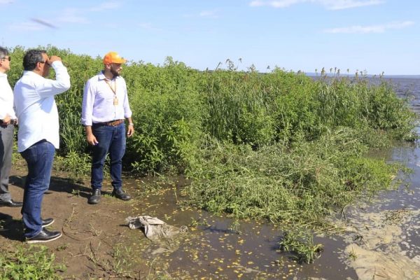 Avanza el plan integral para la recuperación de la cuenca del lago Ypacaraí