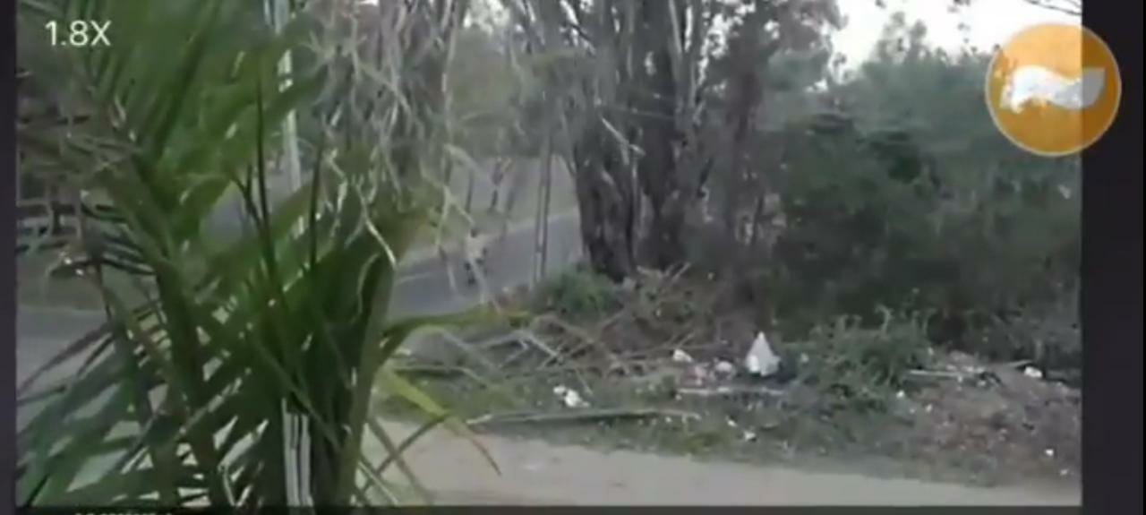Imputan a un hombre que inició un incendio en San Bernardino
