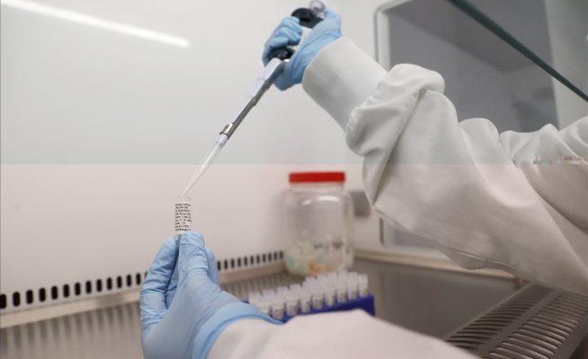 Los anticuerpos de un paciente recuperado del SARS inhiben el SARS-CoV-2
