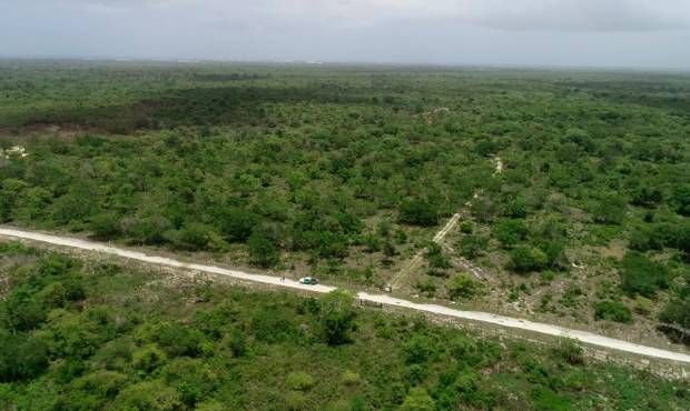 Bolivia da por controlado un fuego que quemó 40.000 hectáreas de área natural