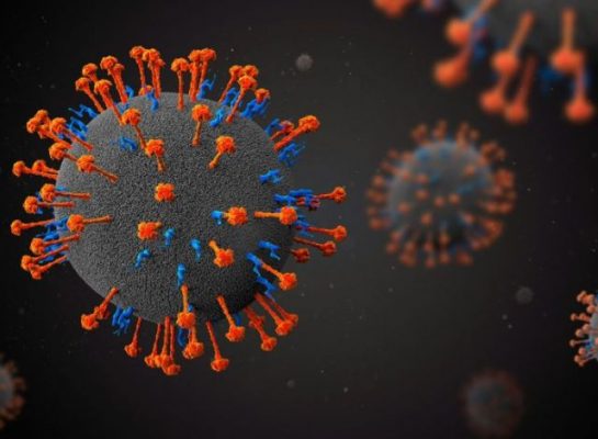 Por primera vez, prueban tratamiento para curar el Henipavirus en pacientes sanos