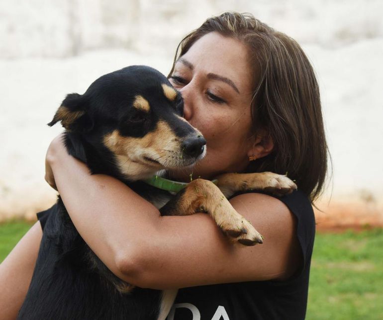 Juez desestima denuncia de Defensa Animal contra animalera: “Voy a accionar contra ellos por haber manoseado mi nombre”