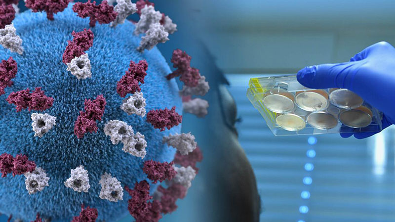 Paraguay recibirá tercera donación de test rápidos para el diagnóstico del coronavirus
