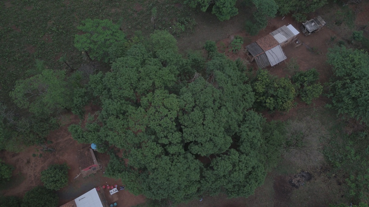 Samu´u finalista del concurso “Colosos de la Tierra” es declarado de interés municipal en Ybycuí