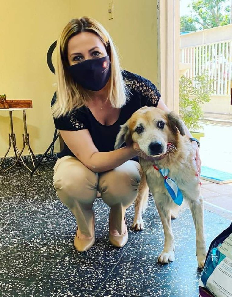 Shelby está en una veterinaria, bajo cuidado de la Fiscalía: «Una vez más mintieron», dice fiscala sobre Defensa Animal