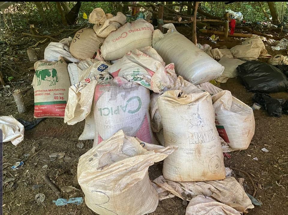 Incautan 8.500 kilos de marihuana en Canindeyú