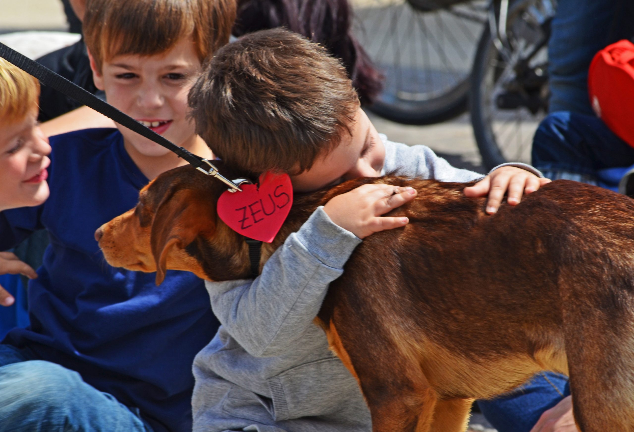 El 95 % de los latinoamericanos consideran a sus perros parte de la familia
