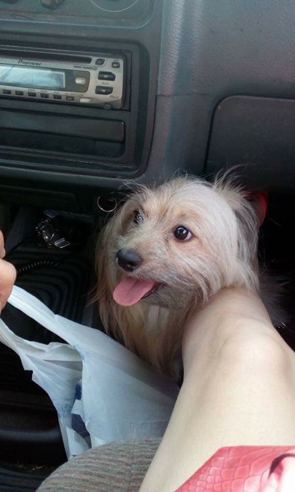 Familia busca a Pipo