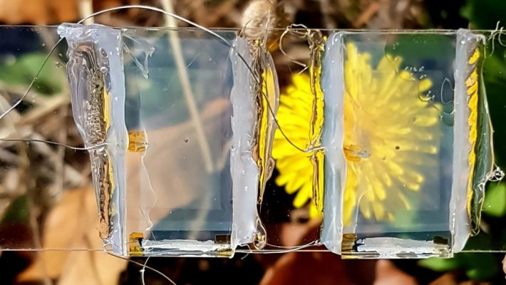 Científicos coreanos crean «paneles solares invisibles» que se pueden integrar en los teléfonos inteligentes