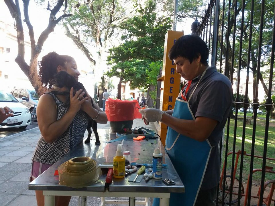 Atención veterinaria gratuita para mascotas en la Plaza Uruguaya