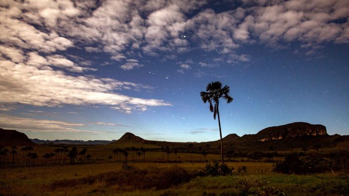 El Gobierno de Brasil avanza en la privatización de otros 26 parques naturales