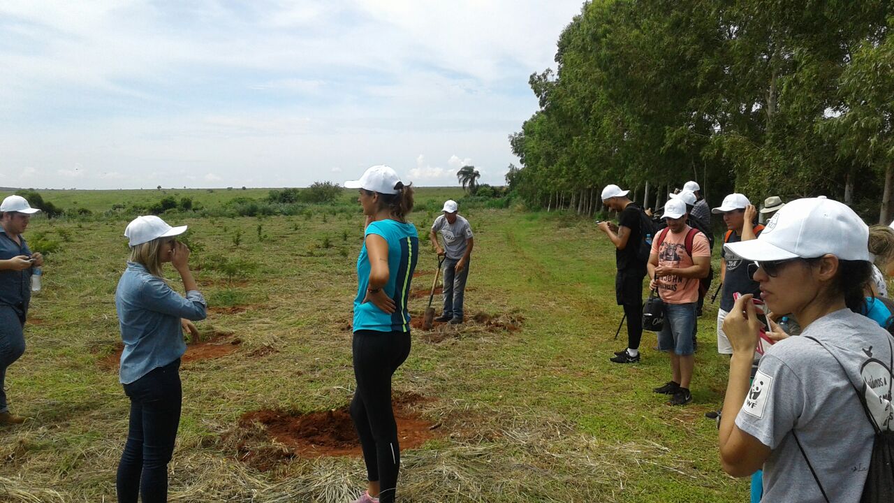 Agua de la Costa reforestá 70.000 árboles en la reserva natural Morombí