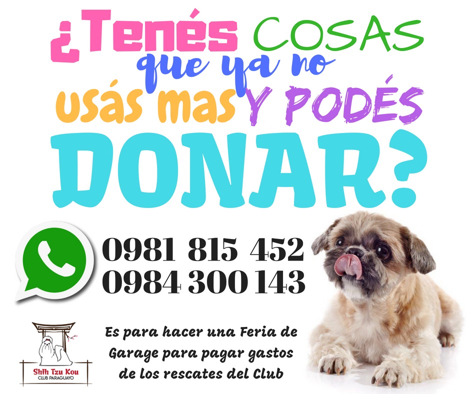 ‘Shih Tzu Kou’ el hogar de perritos necesita tu ayuda