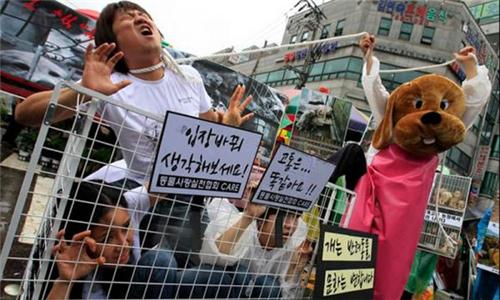 Miles de personas piden en China el fin del festival anual de carne de perro