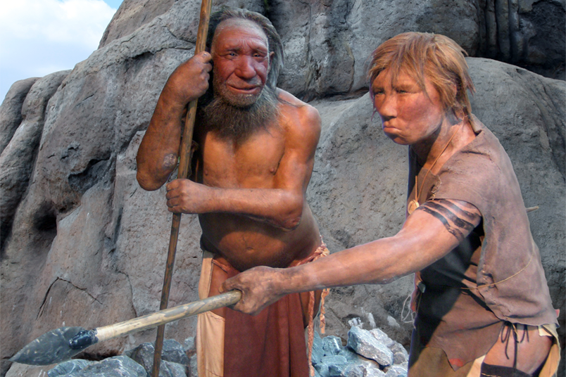 La forma del cerebro de los neandertales pudo contribuir a su extinción