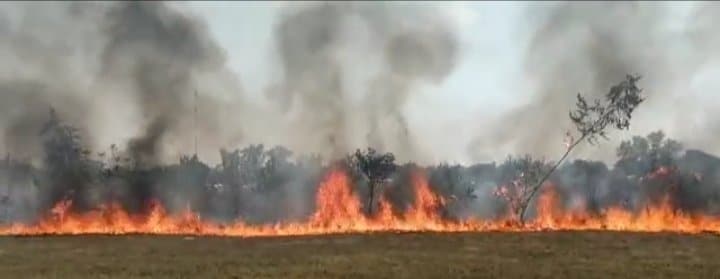 Controlan incendio de pastizales en Pilar