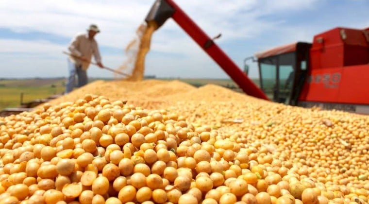 Paraguay podría importar soja ya que la producción nacional acabaría a mediados de año, indican