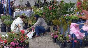 La Cafap dará cursos de arreglos florales