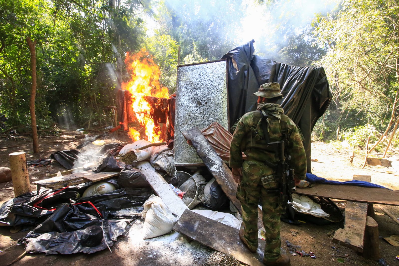 Operación Nueva Alianza XXXII: Anulan 672 toneladas de marihuana tras ocho días de operaciones