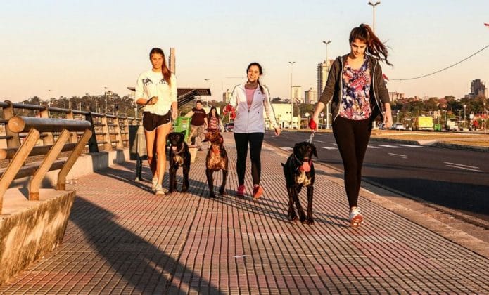 Anuncian clima fresco a cálido y cielo parcialmente nublado para este martes