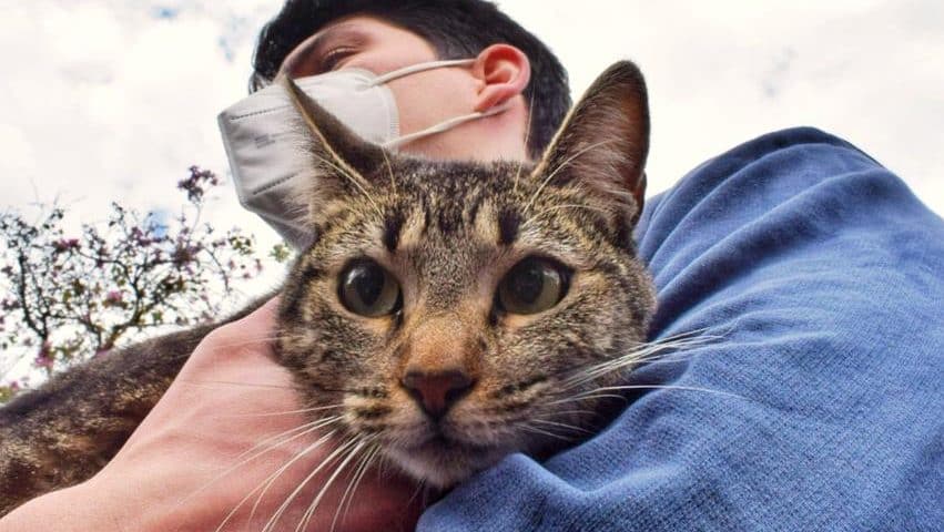 ¡Cuidemos a los michis! Invitan a jornada de castración de gatitos para este jueves