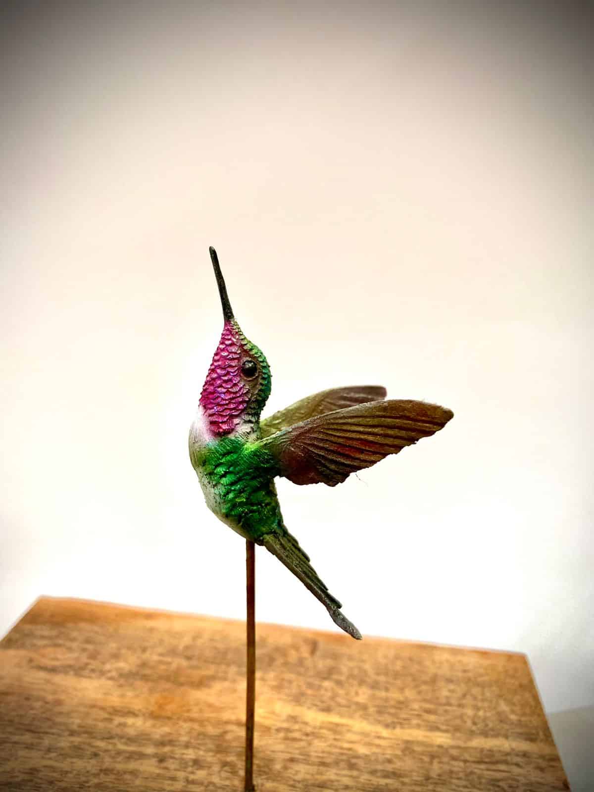 ¡Qué maravilla! Artista plástico presenta exposición de especies de colibríes en realismo