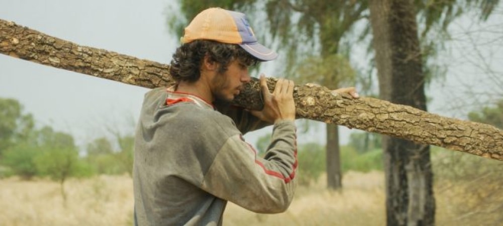 «Boreal» ya está en todos los cines del país