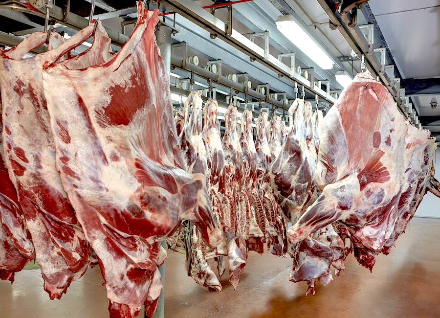 Proceso de exportación de carne paraguaya a EEUU “es burocrático”, dicen desde Senacsa