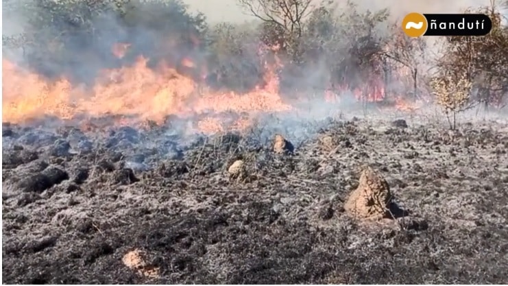 ¡Increíble! Voraz incendio en Villeta y dueños del predio niegan la entrada a los bomberos