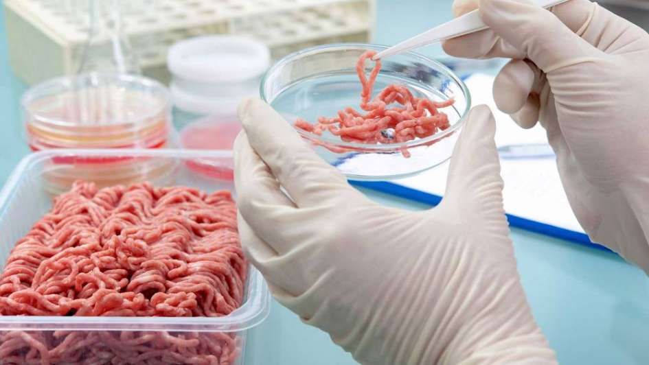 Producción de carne sintética «es una falsa solución ambiental», considera investigadora