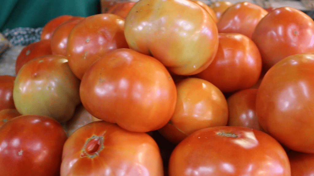 Precio del tomate se reduce: maduración y presunto contrabando serían causantes, dice importador