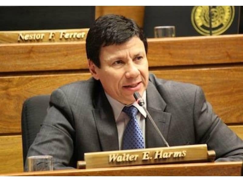 Fallece el diputado Walter Harms en accidente aéreo en San Pedro