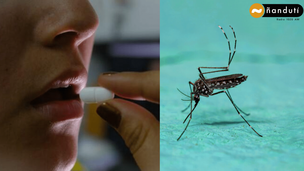 Alertan que automedicación ante síntomas de Dengue puede generar más complicaciones