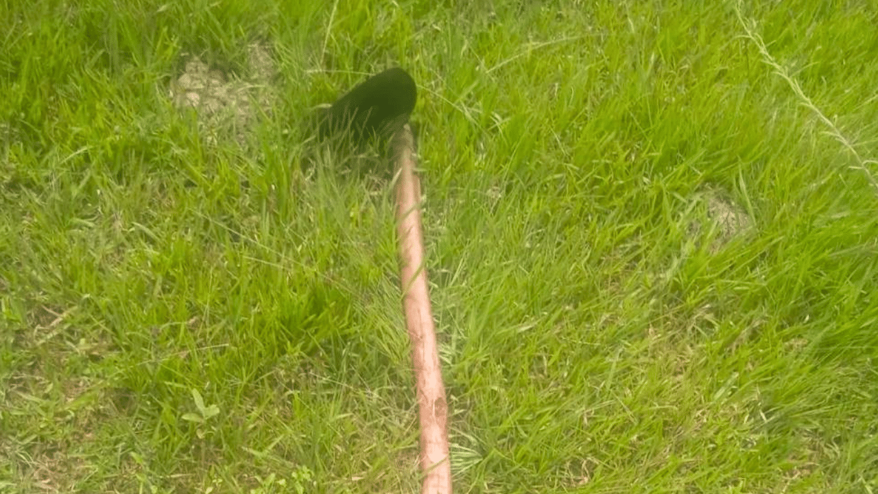 Intento de feminicidio en Misiones
