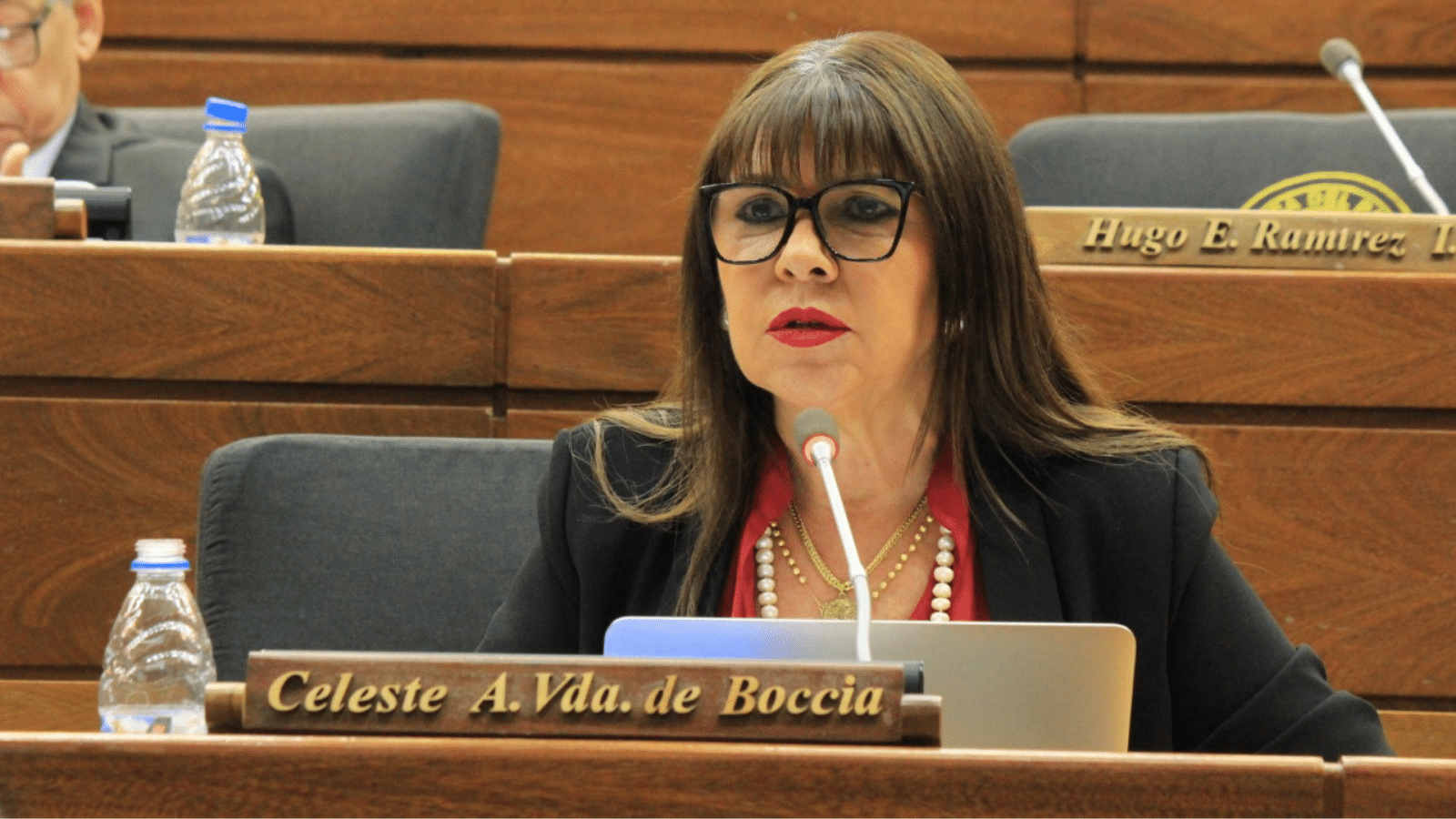 Según Celeste Amarilla, el PLRA no debería presentar ningún candidato a presidente