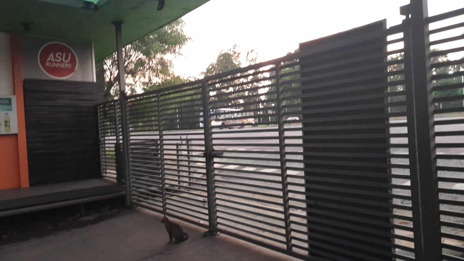Tras cortocircuito en columna de la ANDE, parque Ñu Guasú cierra los portones temporalmente