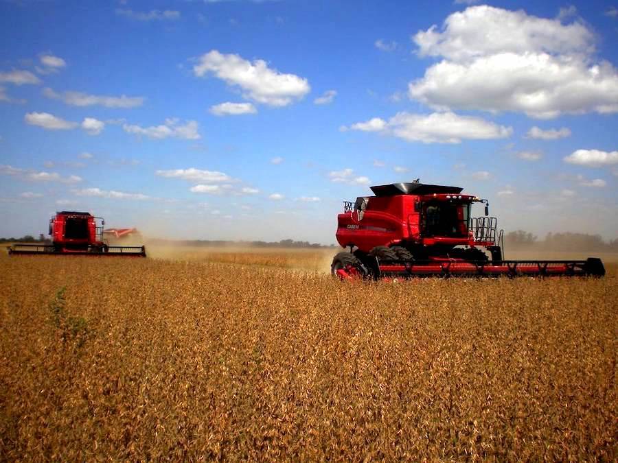 Cosecha 2024: UGP espera llegar a las 10 millones de toneladas y apuntan a un buen año