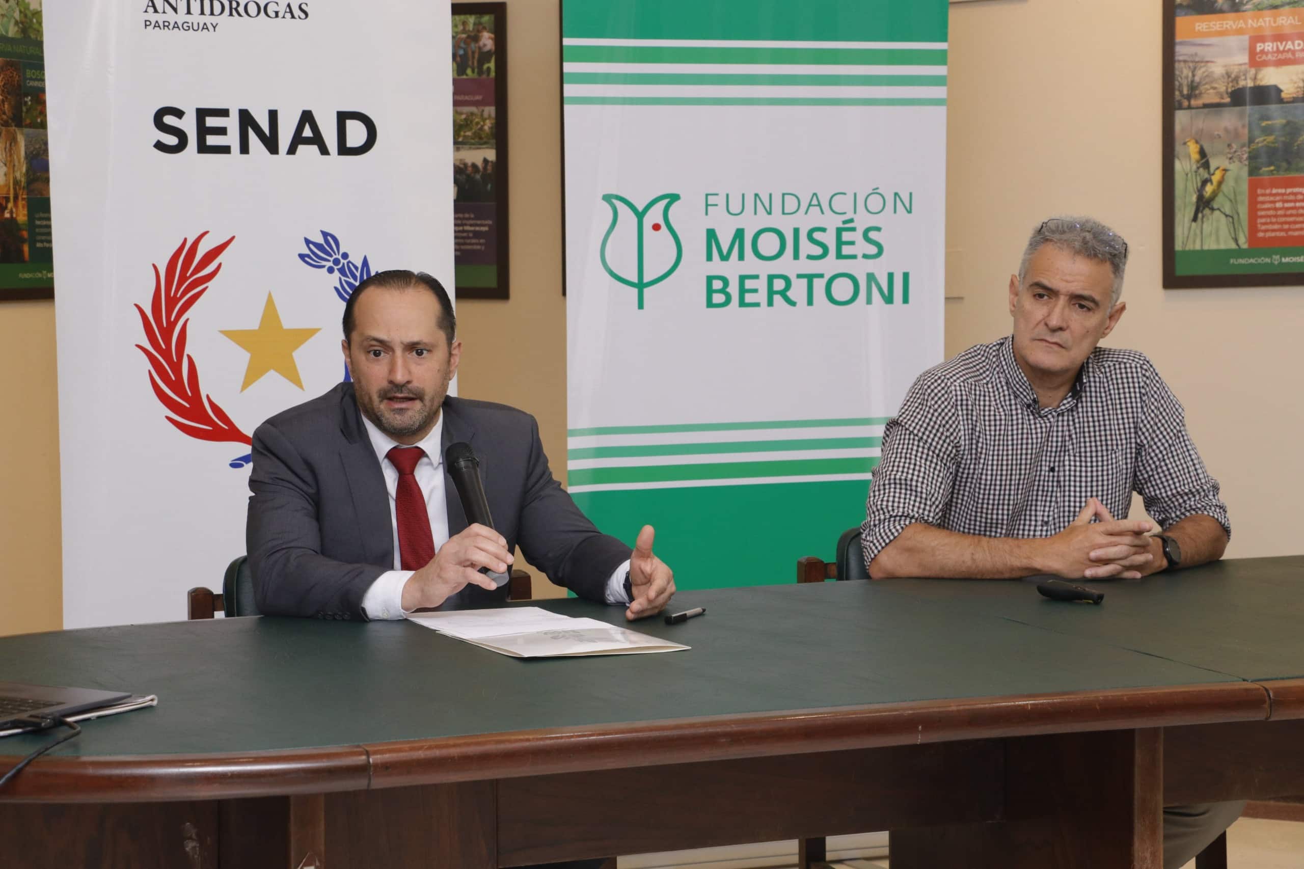 Operativo Moisés Bertoni: Senad destruye plantaciones de marihuana en reserva forestal
