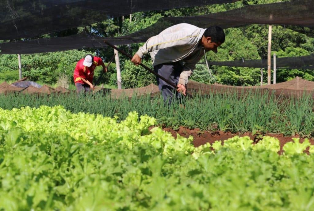 Paraguay necesita diversificar su economía, asegura especialista
