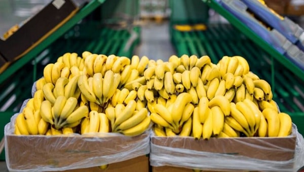 Gobierno argentino debe USD 11 millones a la Cámara Paraguaya del Banano y la Piña