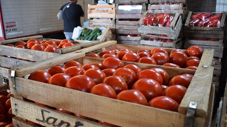 Liberar importación del tomate permite vender a precio justo, expresa ministro del MAG
