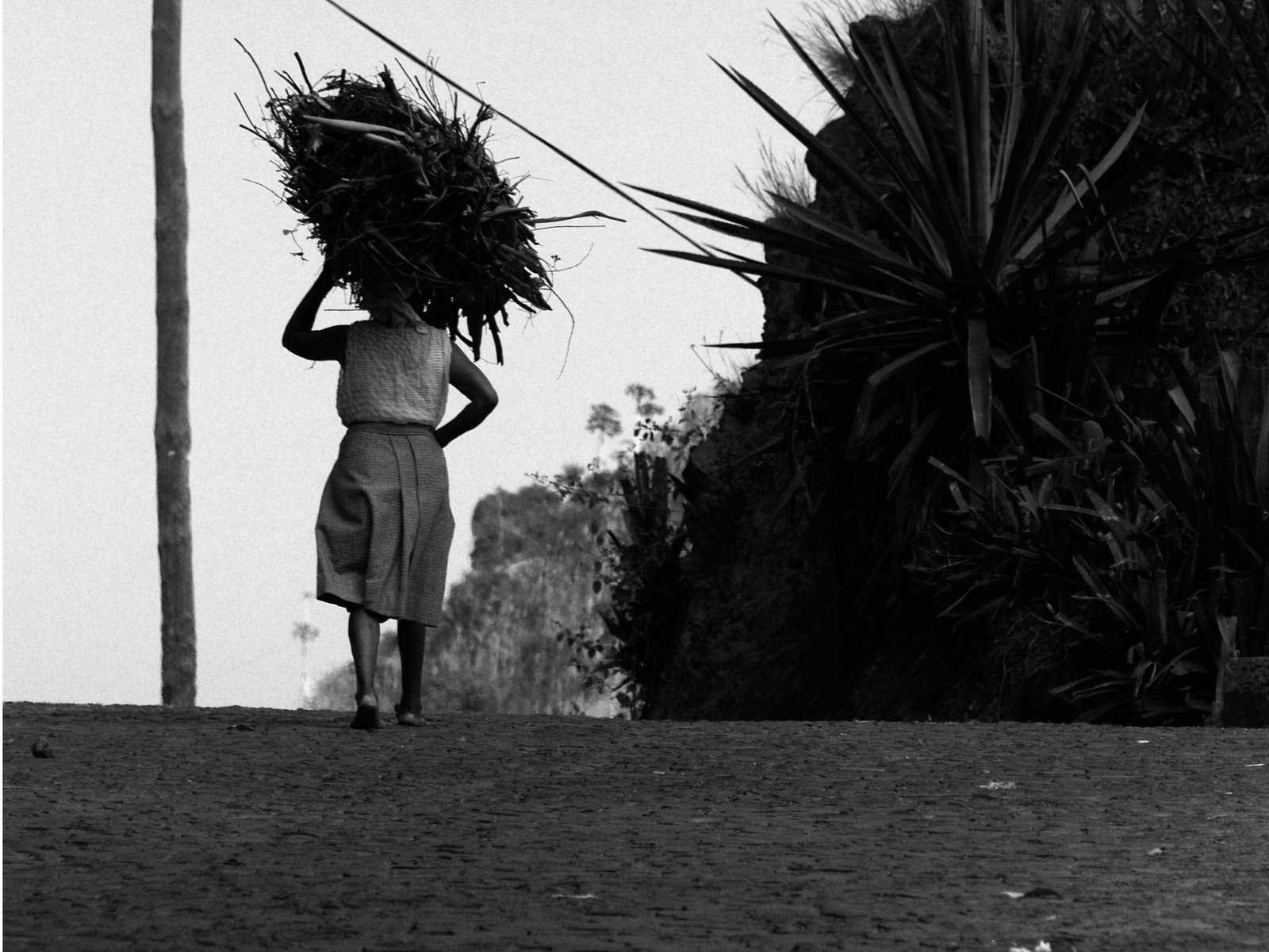Mujeres ganan G. 720.000 menos que los hombres, según el INE