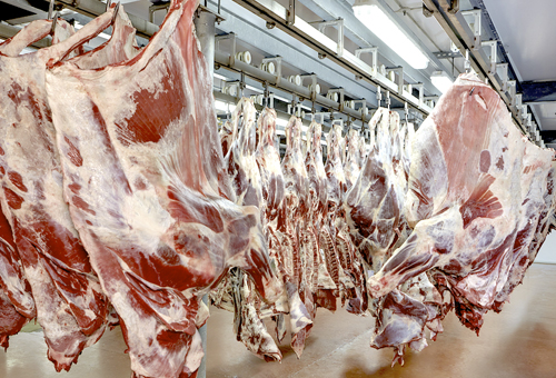 ARP se pronuncia contra la intención de bloquear el ingreso de carne paraguaya a EE.UU.