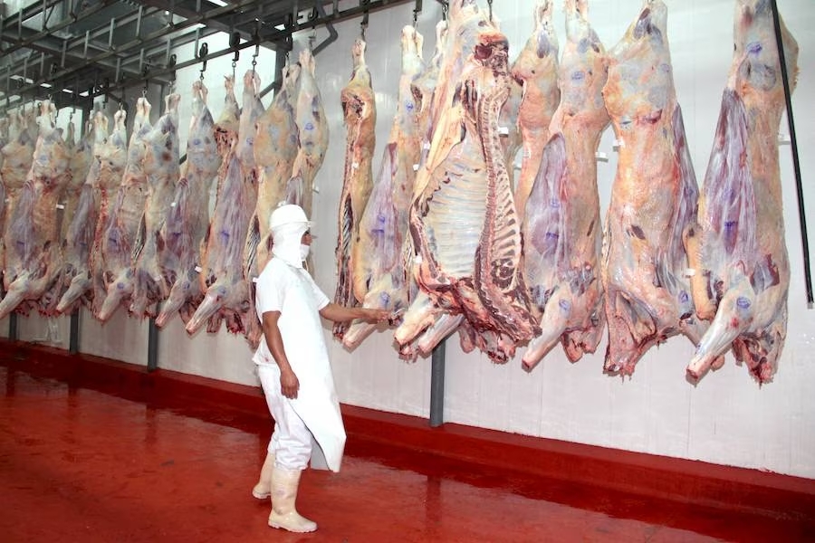 Propuesta de bloquear carne paraguaya en EE.UU “es una situación lamentable”, señalan