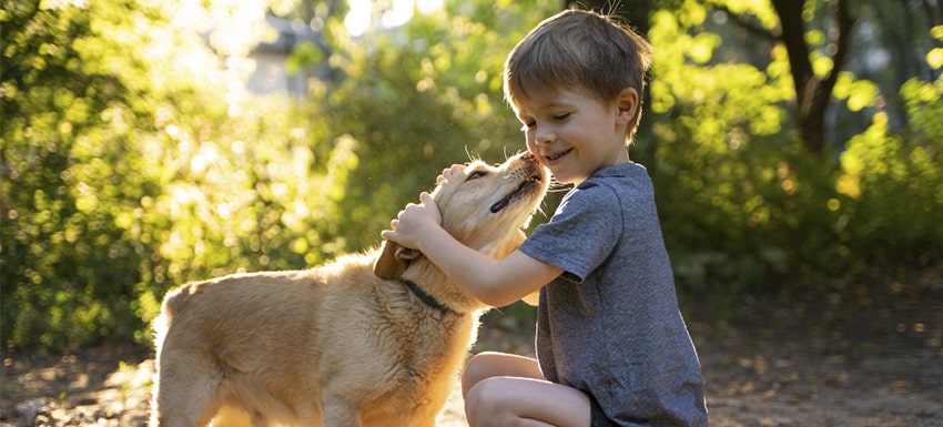 Mascotas: ¿por qué desarrollamos un vínculo tan especial con ellos?